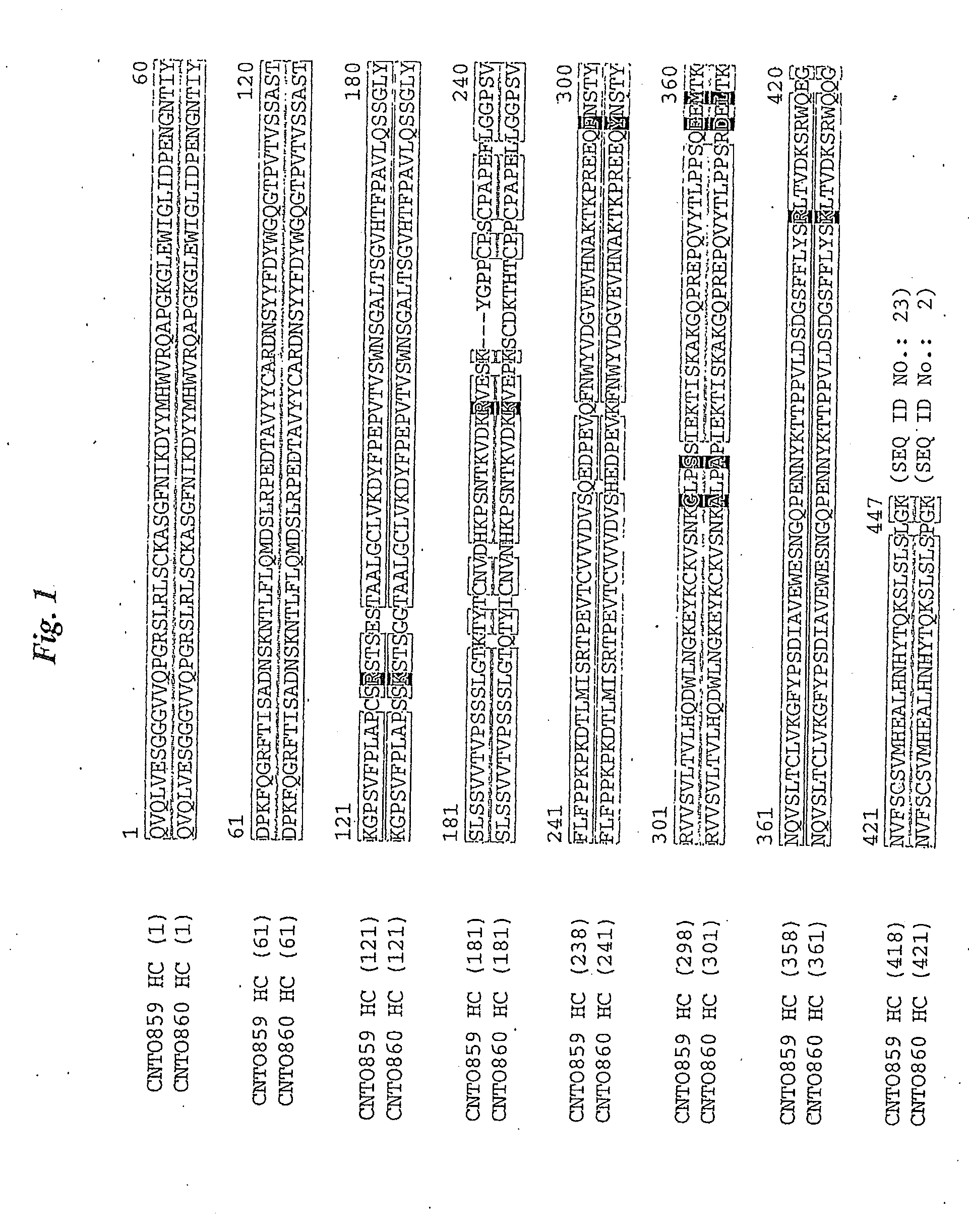Anti-tissue factor antibodies and compositions