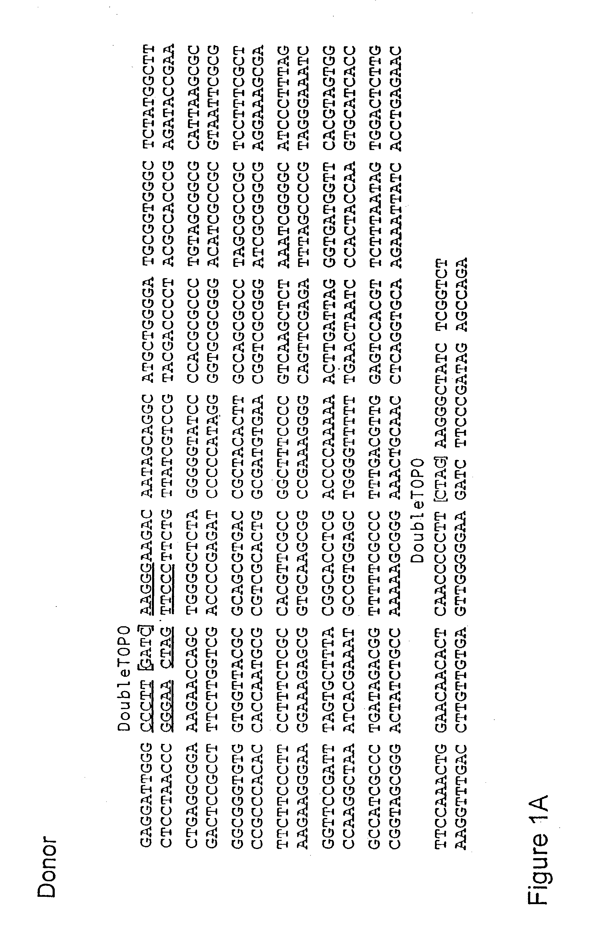 System for the rapid manipulation of nucleic acid sequences
