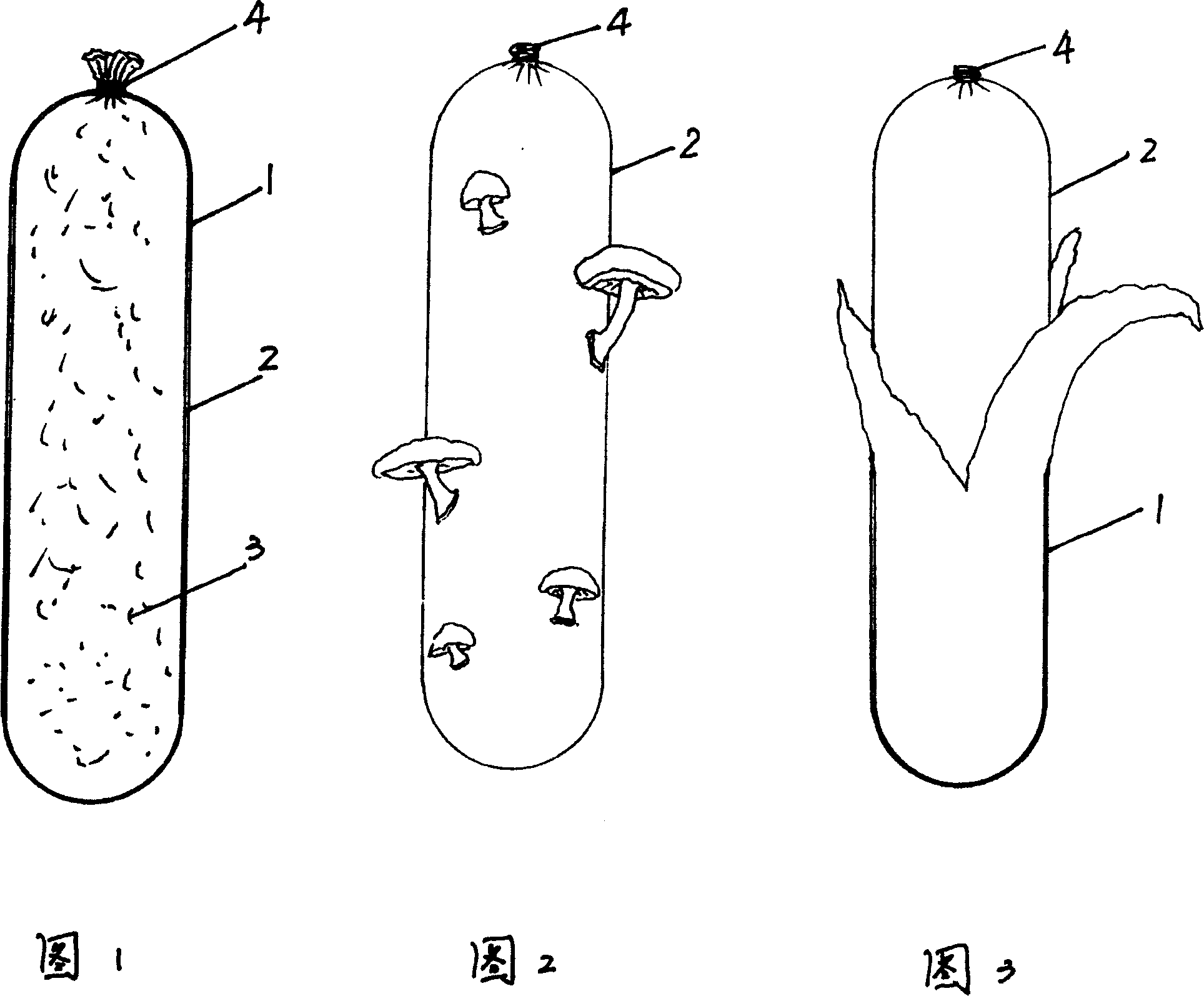 Technics of dual bags for planting shiitake