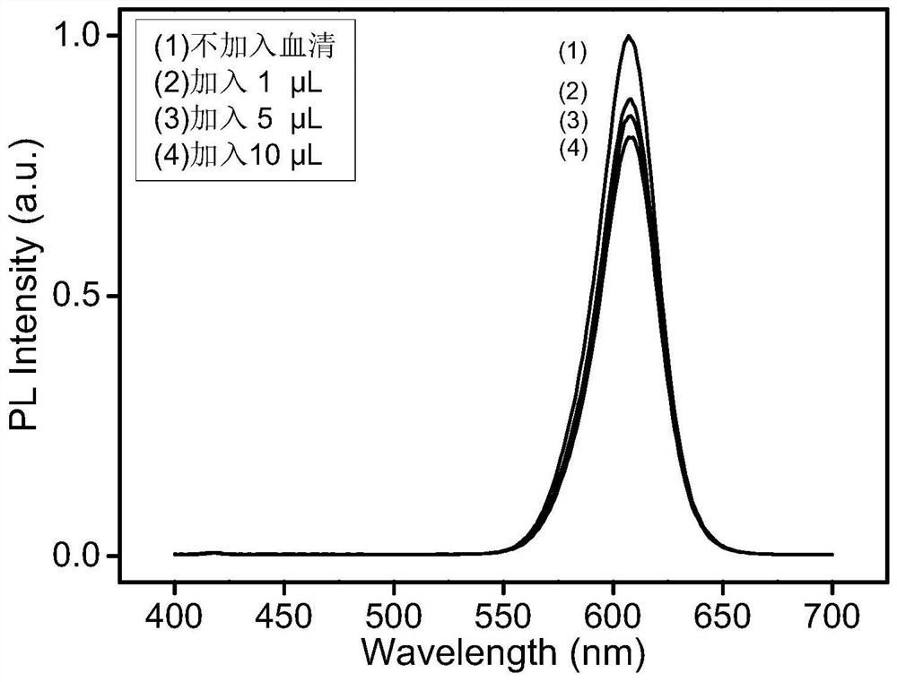 A kind of new coronavirus antibody detection fluorescent reagent and preparation method