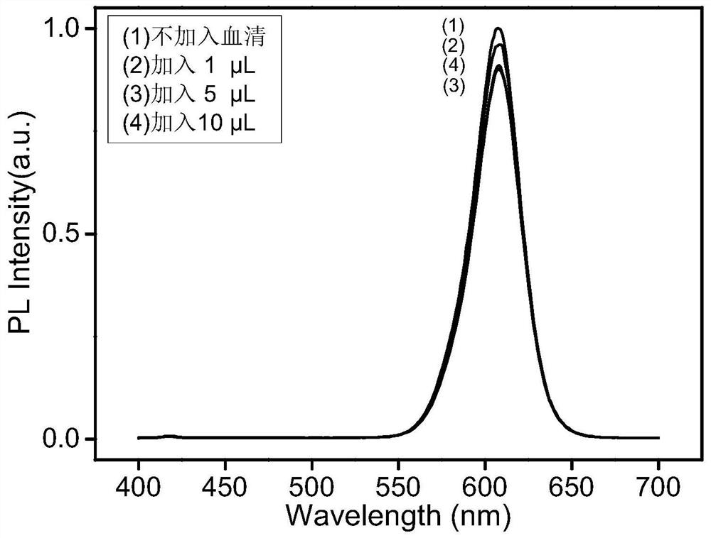 A kind of new coronavirus antibody detection fluorescent reagent and preparation method