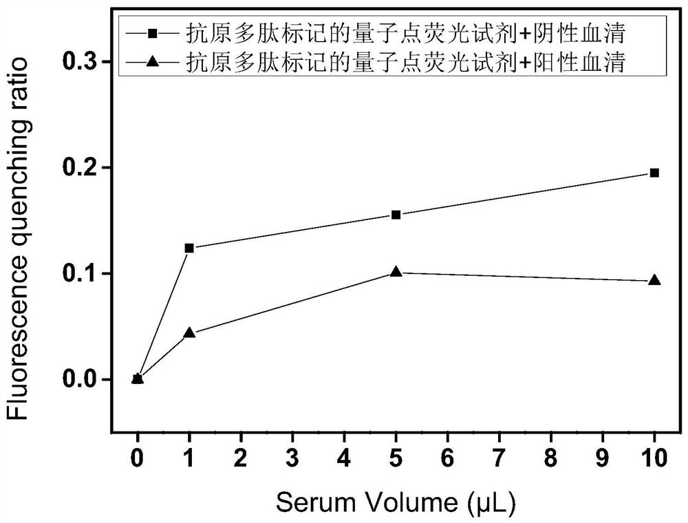 A kind of new coronavirus antibody detection fluorescent reagent and preparation method