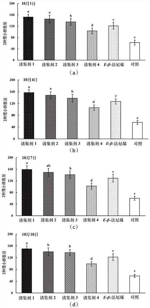 A kind of attractant for leafhopper three-rod tassels and tiny rift tassels and its application