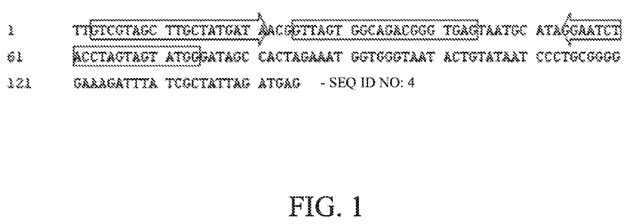 Primer pair, kit and method for detecting anaplasma platys