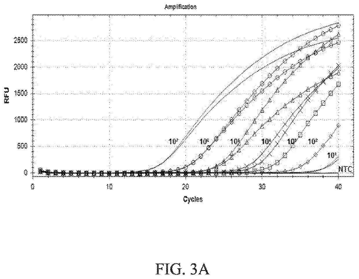 Primer pair, kit and method for detecting anaplasma platys