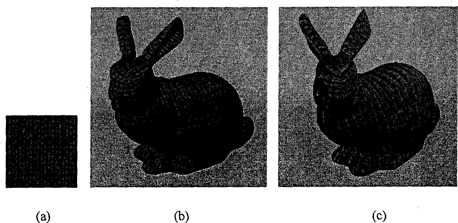 Bidirectional texture function compressing and synthesizing method