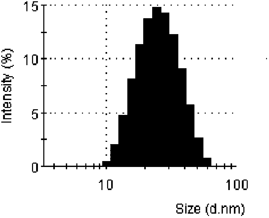 Docetaxel-coated polymeric micelle and preparation method thereof