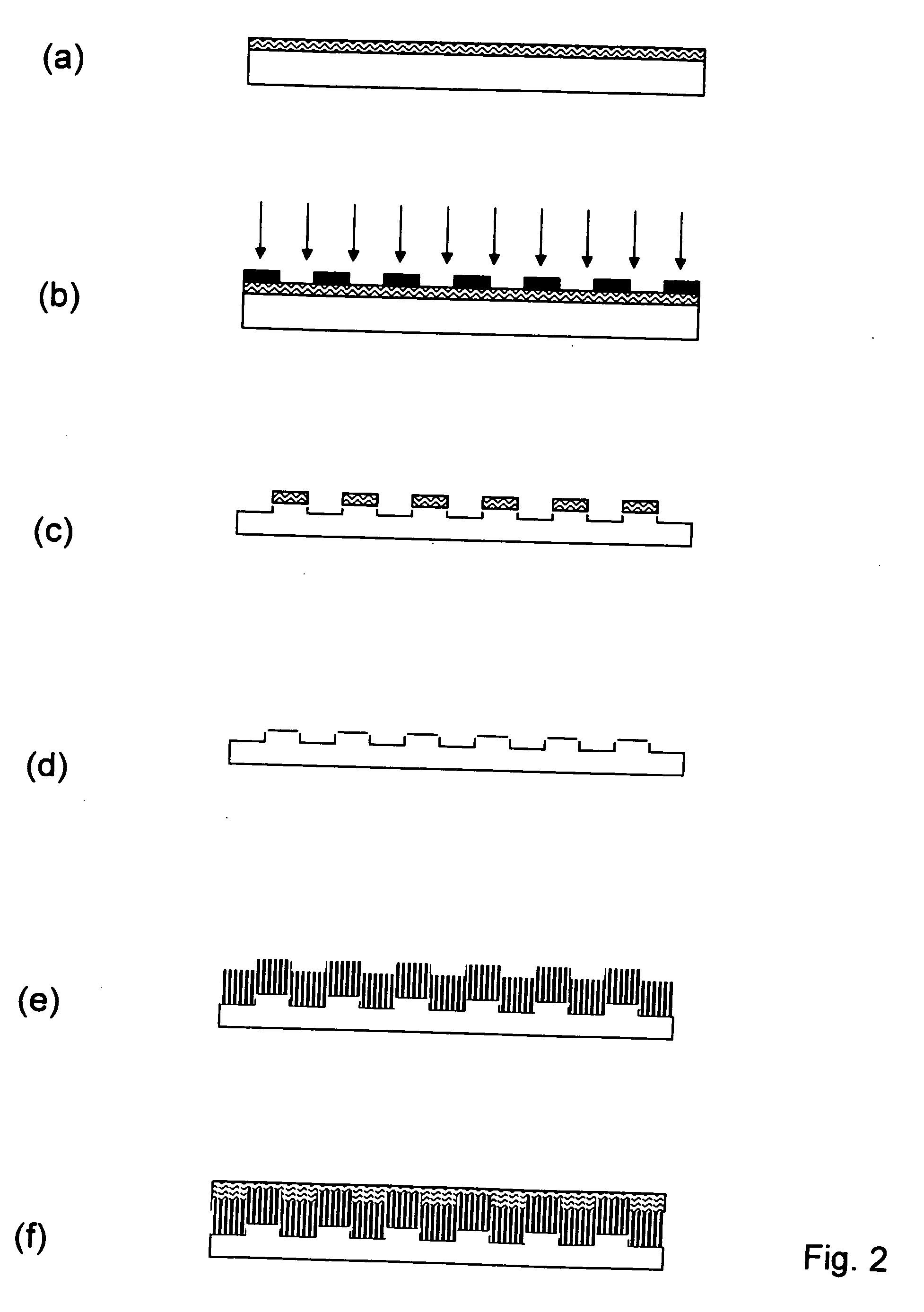 Method of fabricating electrode catalyst layers with directionally oriented carbon support for proton exchange membrane fuel cell