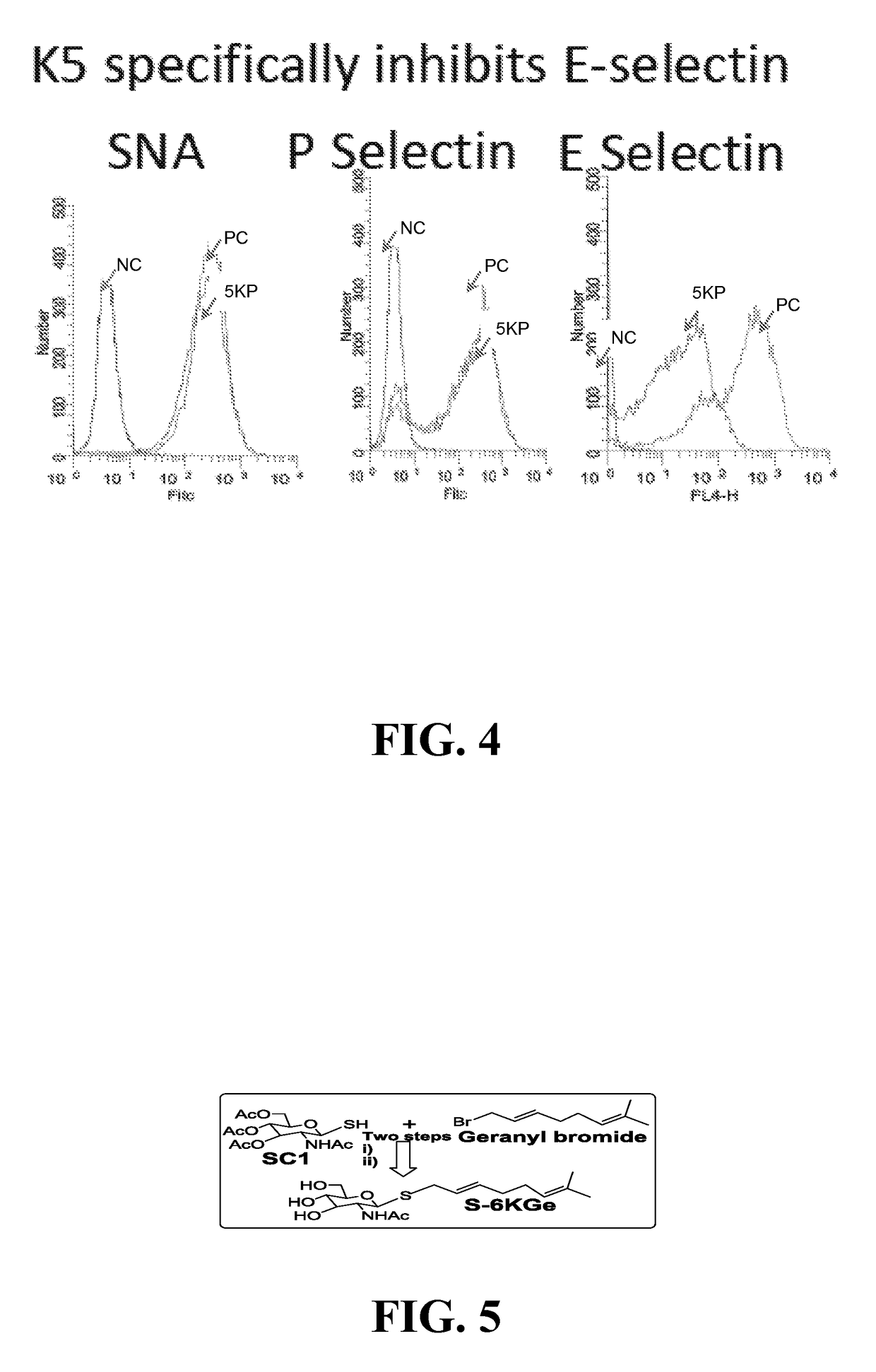 Compositions, methods and treatments for inhibiting cell adhesion and virus binding and penetration
