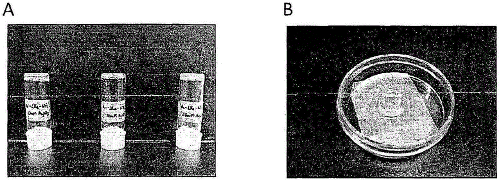 Nanoparticle-containing hydrogels