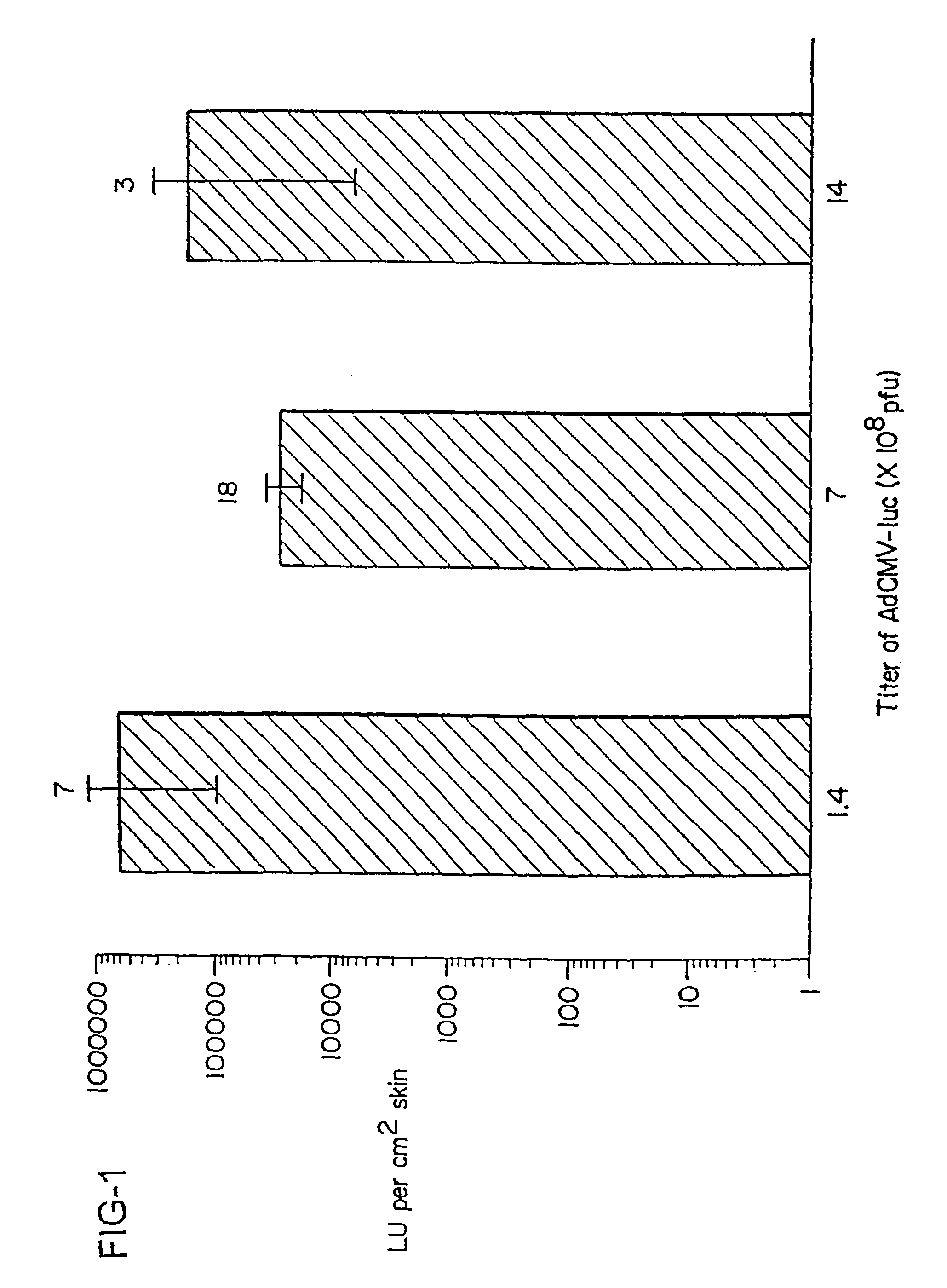 Noninvasive genetic immunization, expression products therefrom and uses thereof