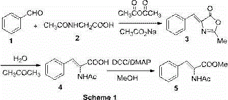 Method for catalysis synthesis of (Z)-2-acetylamino methyl cinnamate through DCC/DMAP