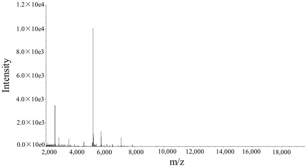 Lactobacillus plantarum NX-1 and application thereof in preparation of hypoglycemic drugs