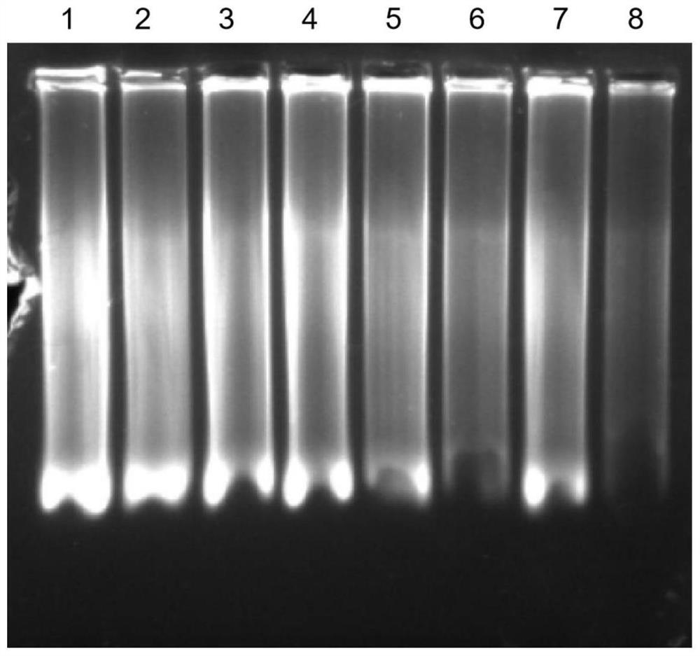 Dewaxing agent for treating paraffin embedded sample and method for extracting nucleic acid from paraffin embedded sample