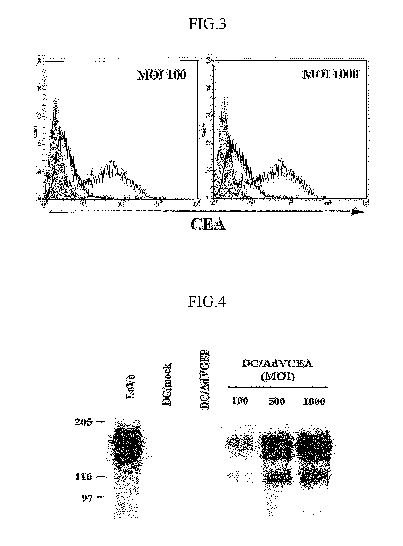 Dendrite cells transduced with recombinant adenovirus AdVCEA which generate CEA-specific cytotoxic T lymphocytes, vaccine and pharmaceutical composition comprising the same