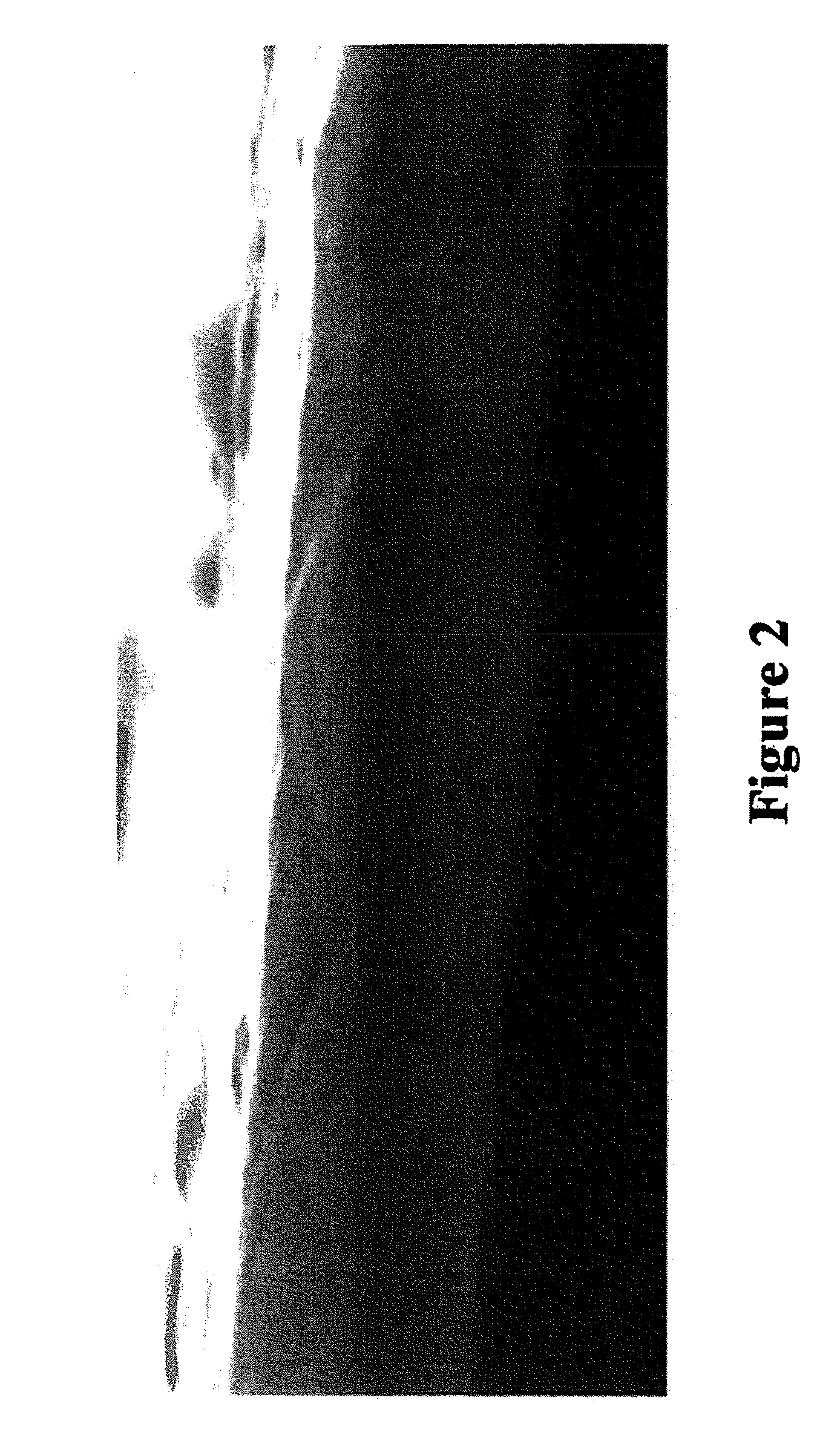 Method of making foraminous microstructures