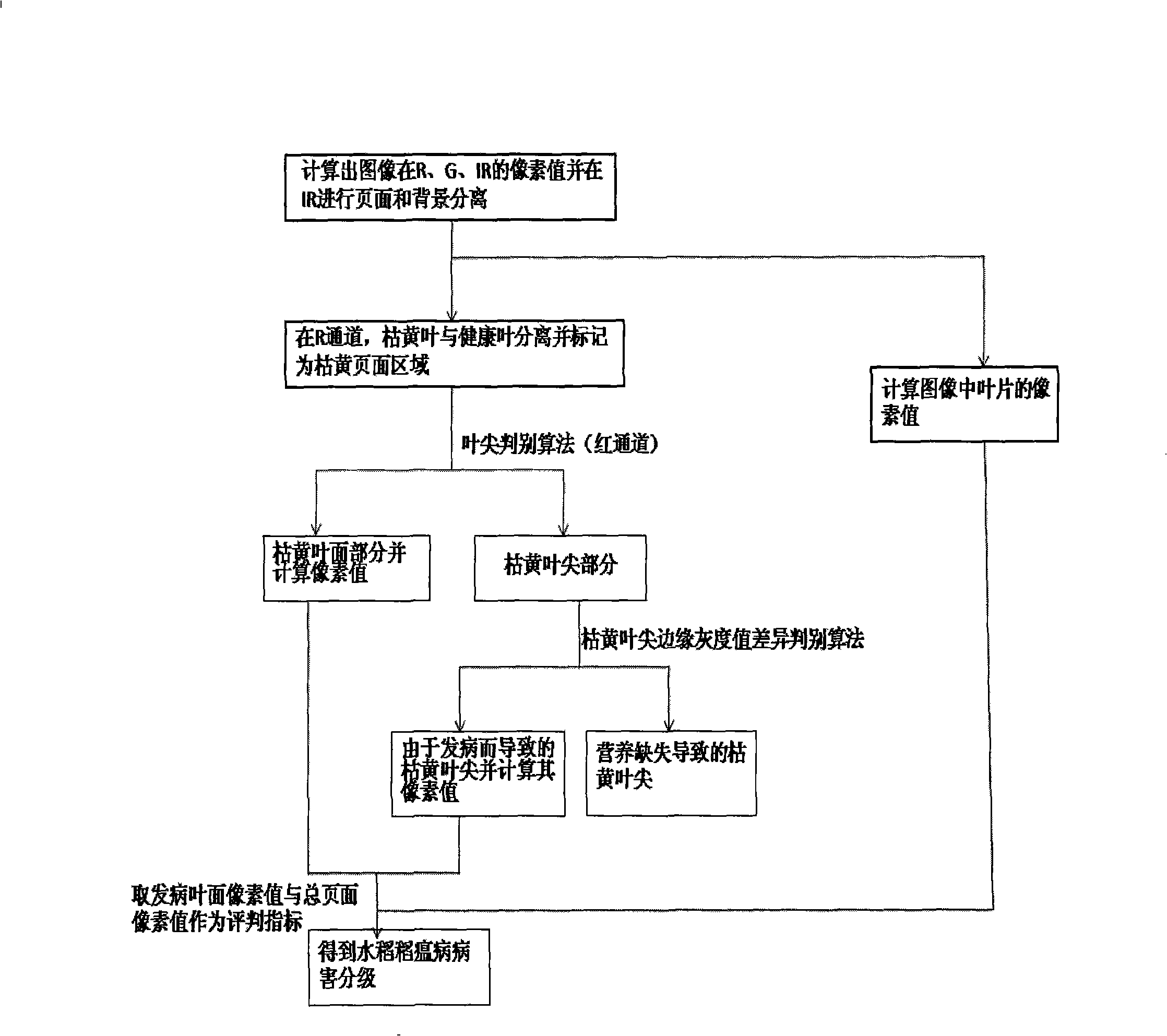 Rice leaf blast detection and classification method based on multi-spectral image processing