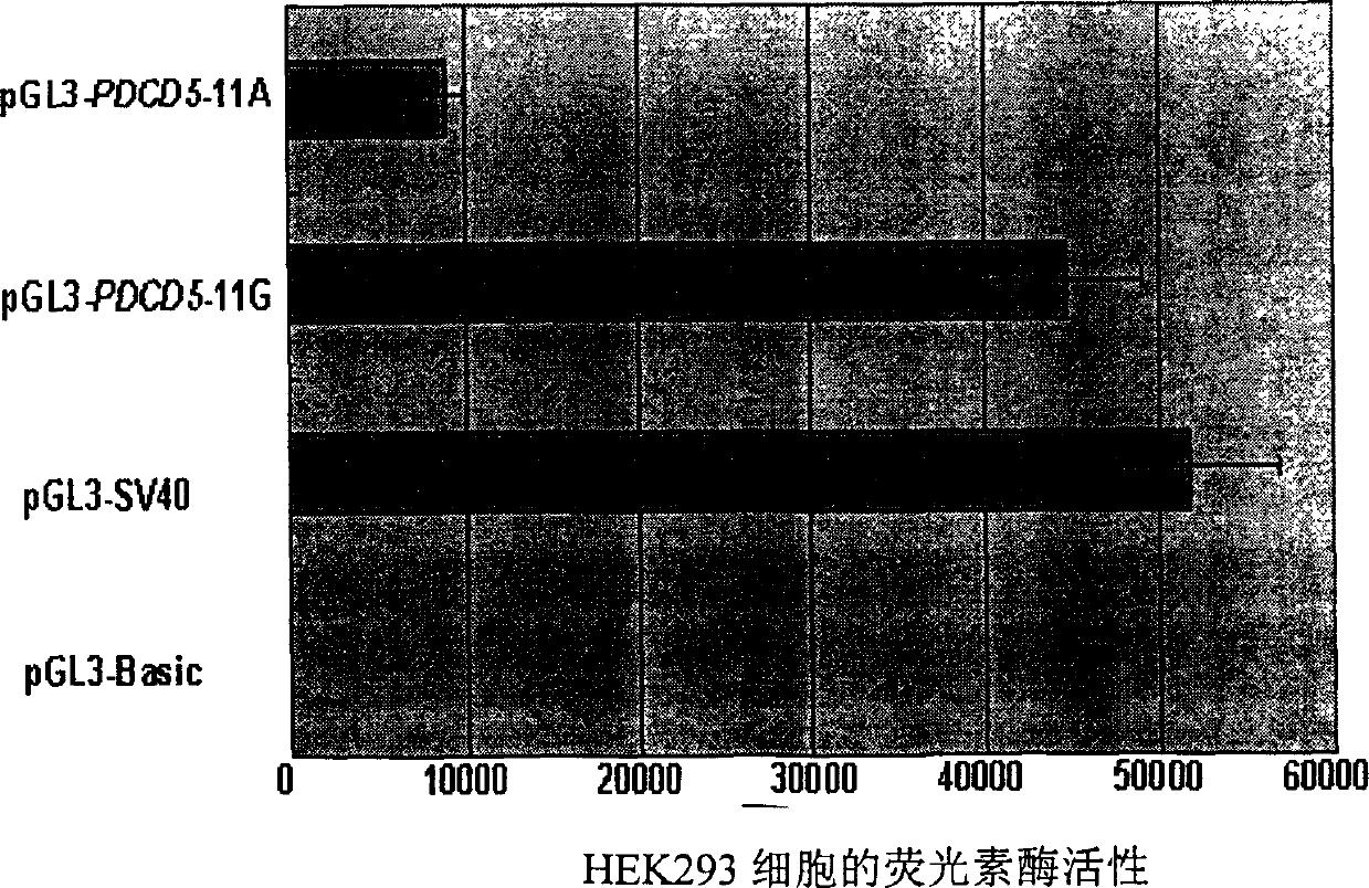 Reagent and method for detecting leucocythemia susceptibility