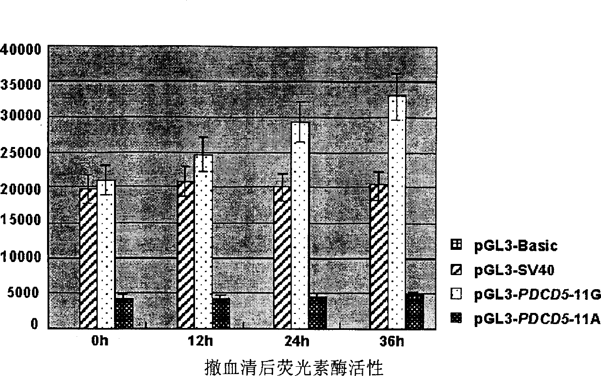 Reagent and method for detecting leucocythemia susceptibility