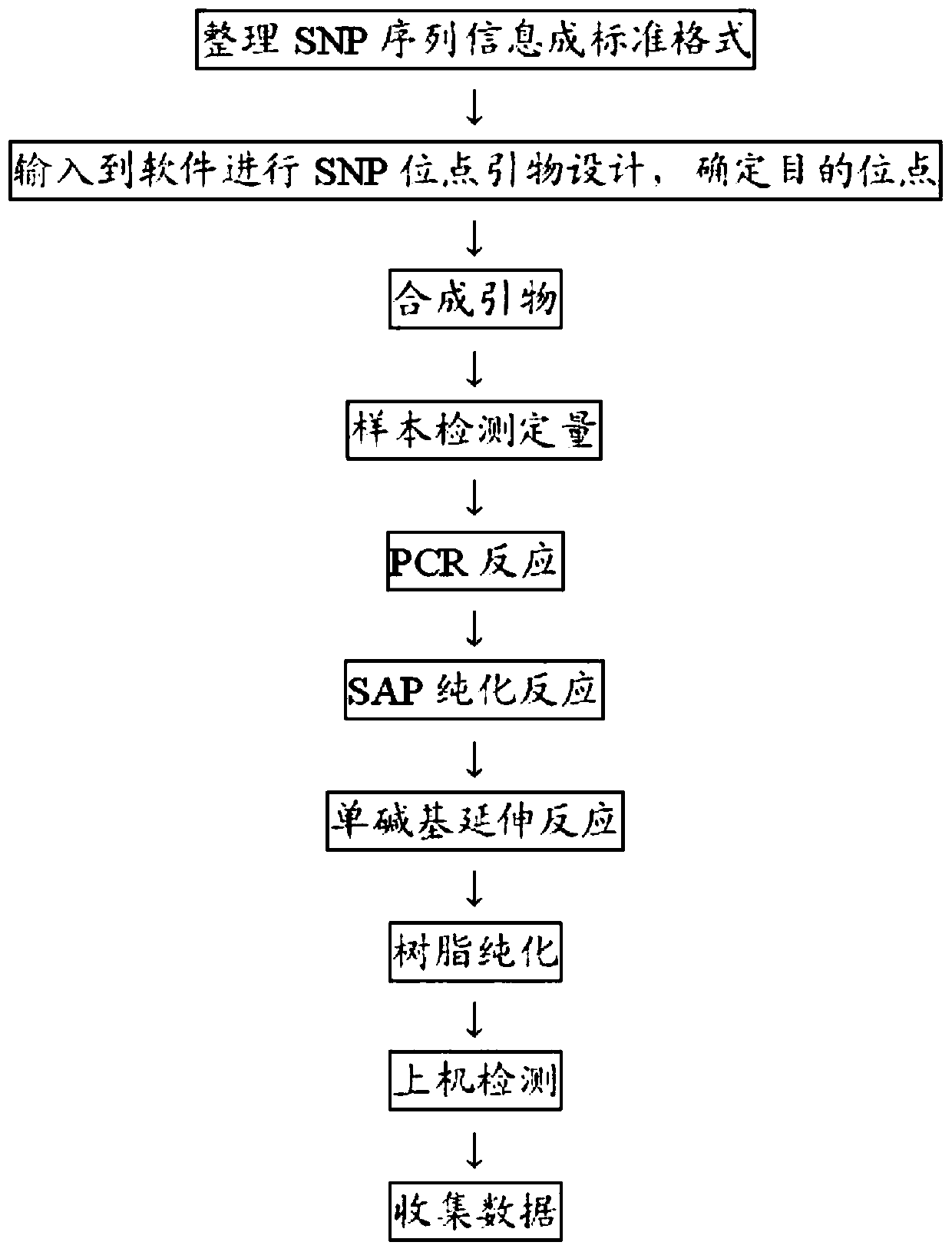 Device for detecting statin-associated myopathy through single nucleotide polymorphism rs976754 and application