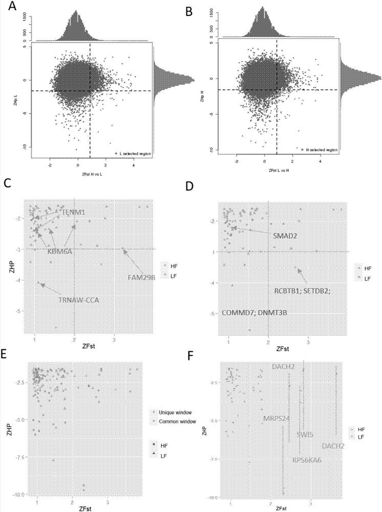 Method for detecting single nucleotide polymorphism of genes related to yean trait of milk goat