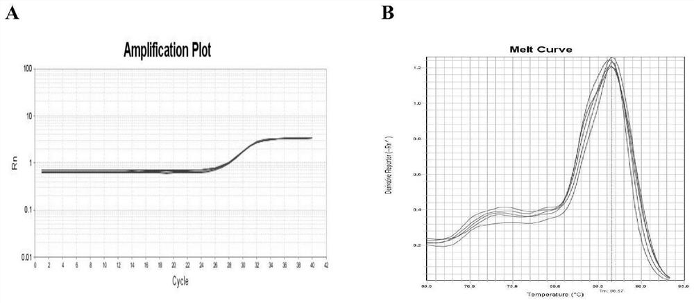 Application of LINC01996 in diagnosis of allergic airway inflammation