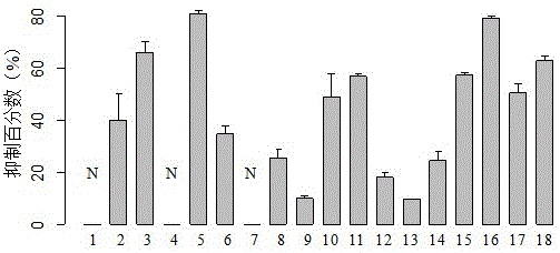 Burkholderia XS1685 strain and application thereof