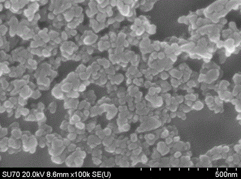 Erbium-doped calcium titanate light-emitting nanoparticle and preparation method thereof