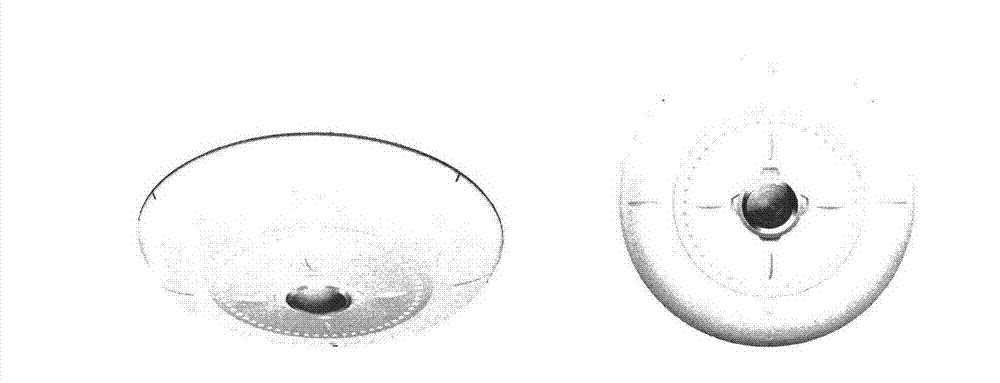 Fisheye image spread method based on radial characteristics