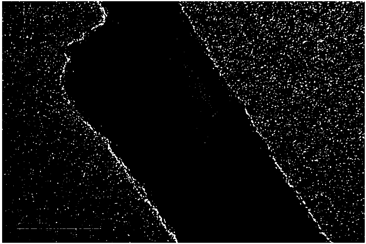 Organic nitrogen and sulfur pesticide detection method