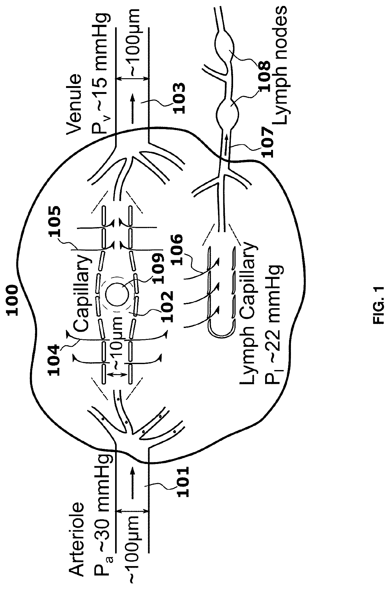 Methods and System for Stimulating Immune Response Against an Existing Cancer in a Patient