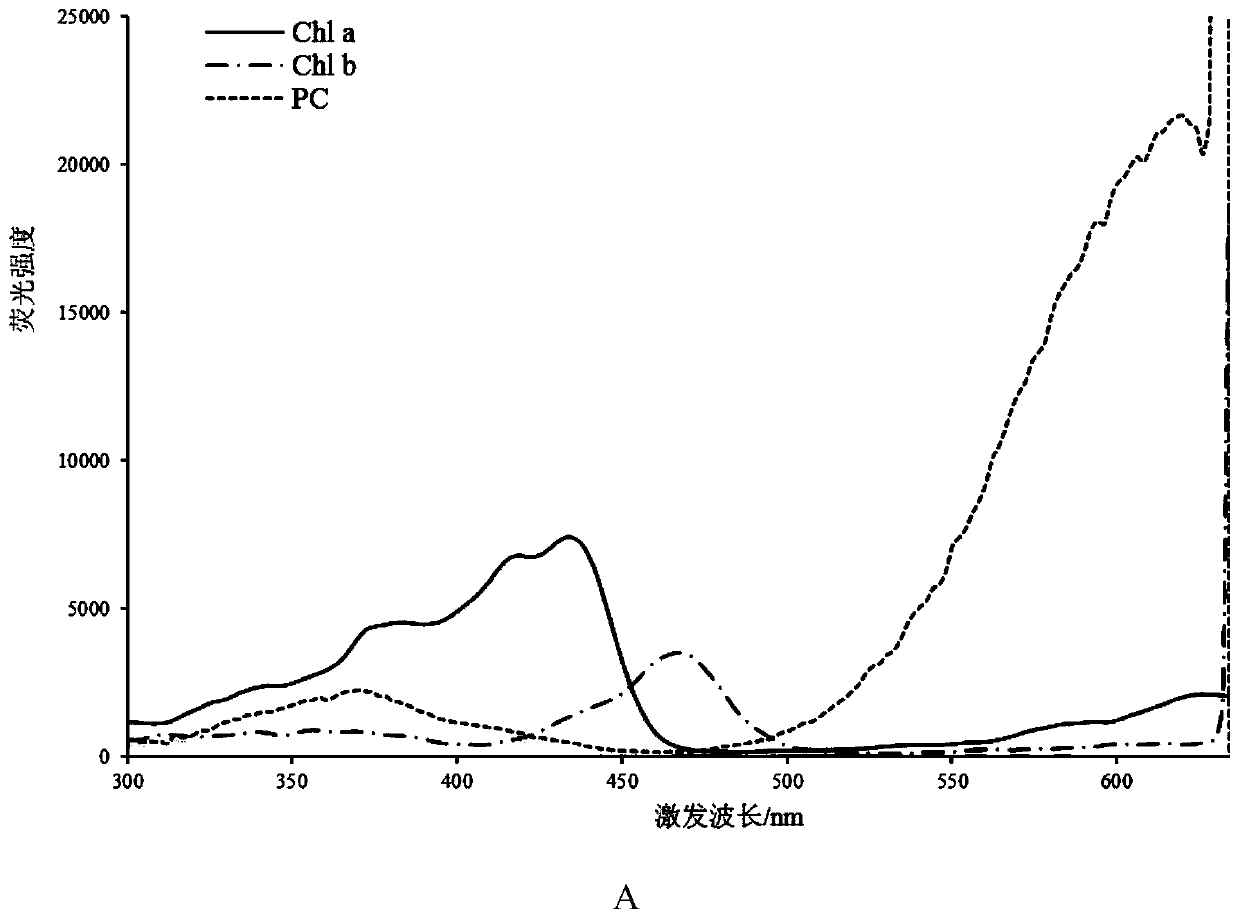 Method of Improving the Accuracy of In-Situ Detection of Cyanobacteria Using Anti-fluorescence Interference Decoupling Algorithm