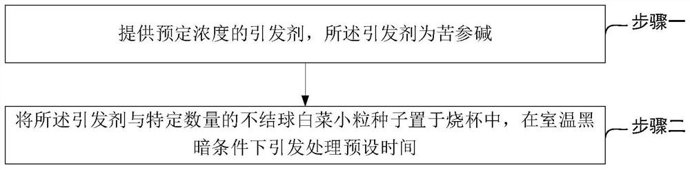 A non-heading Chinese cabbage small seed initiator with both disease and insect resistance and its application