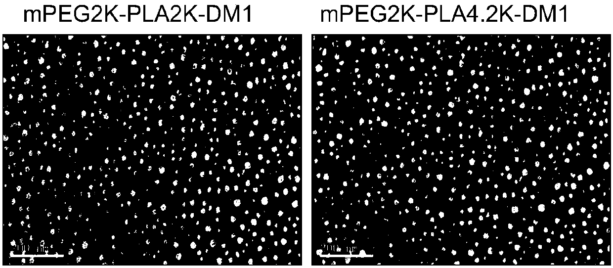 Amphiphilic copolymer-maytansine covalent drug conjugates, preparation method and application