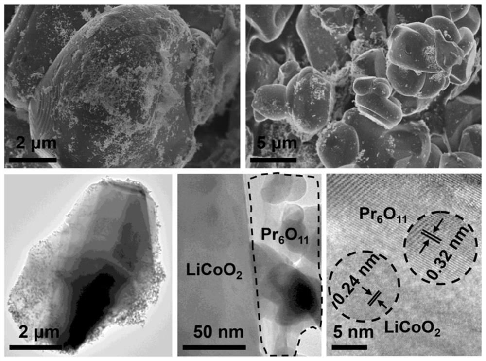 Preparation method of praseodymium oxide particle modified lithium ion battery positive electrode material