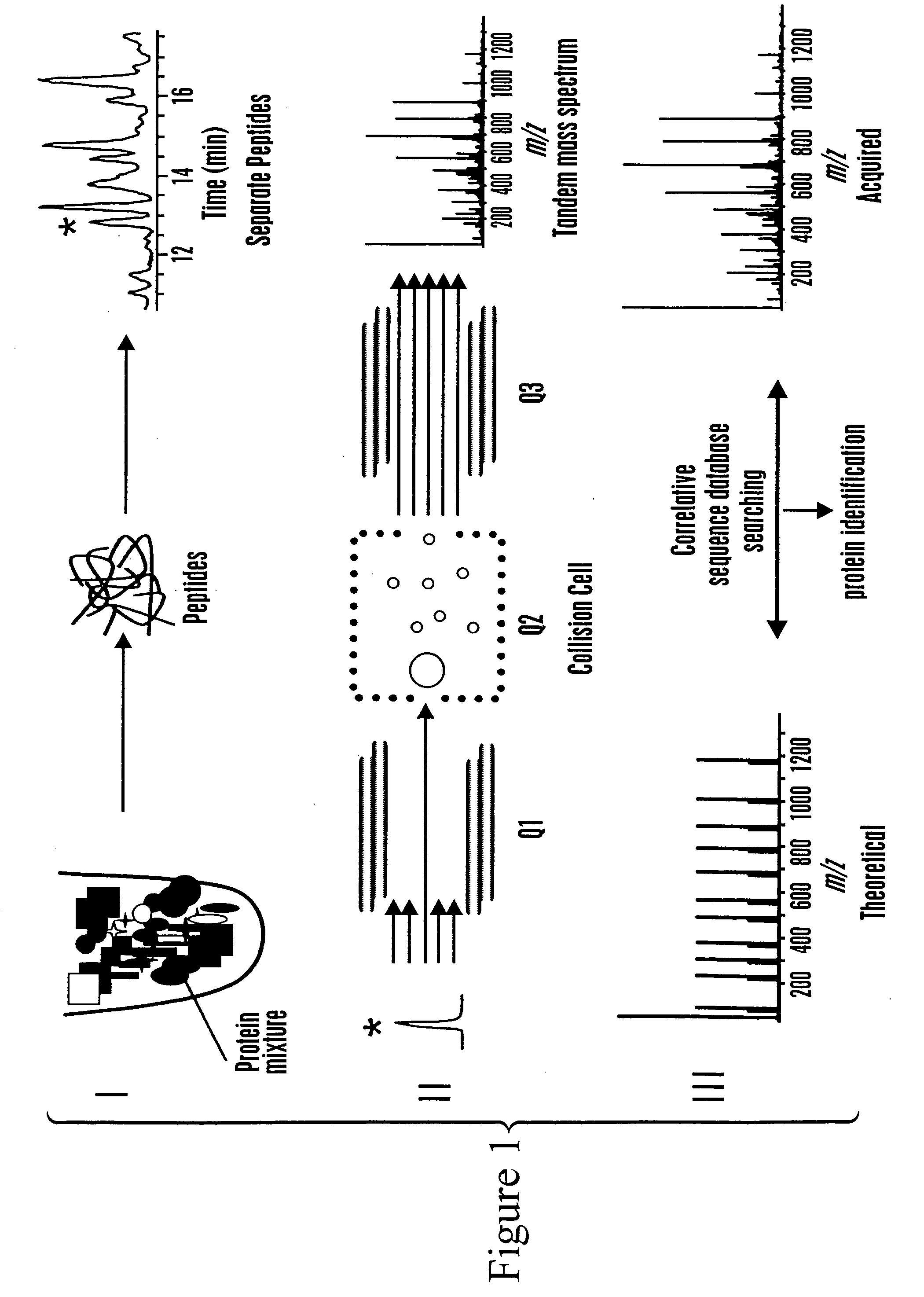Rapid and quantitative proteome analysis and related methods