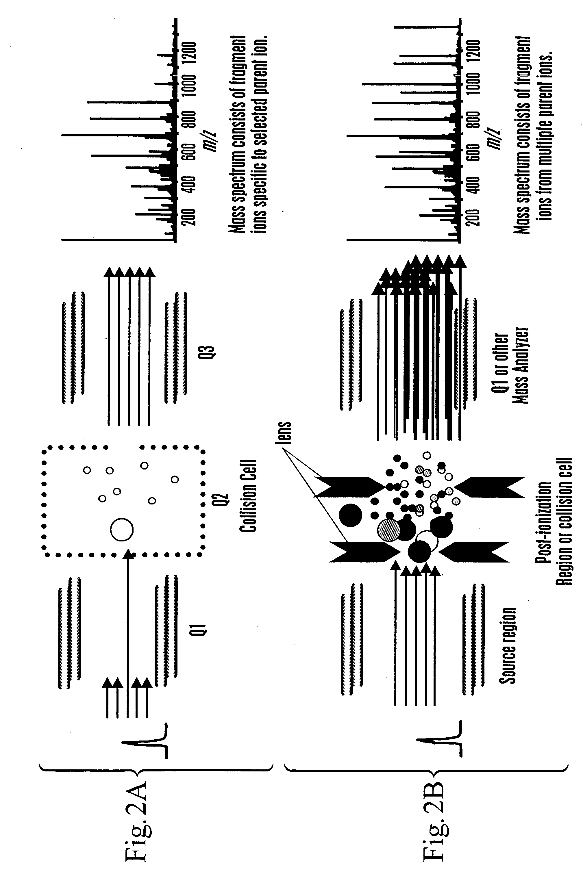 Rapid and quantitative proteome analysis and related methods