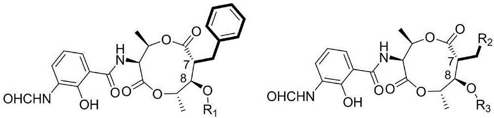 Biosynthesis method for side chain introducing amino acid source to polyketone skeleton and related genes