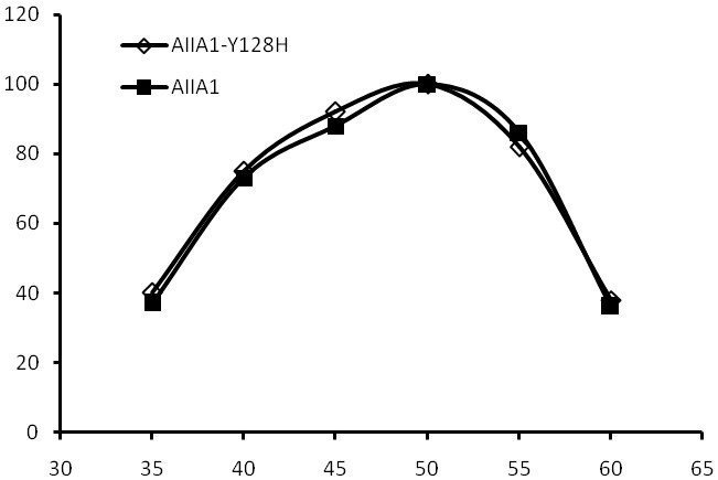 Homoserine lactonase mutant, coding gene and application of homoserine lactonase mutant in replacing antibiotics