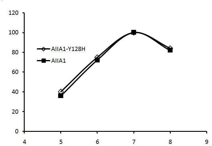 Homoserine lactonase mutant, coding gene and application of homoserine lactonase mutant in replacing antibiotics