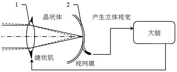 A naked-eye 3D local holographic display method