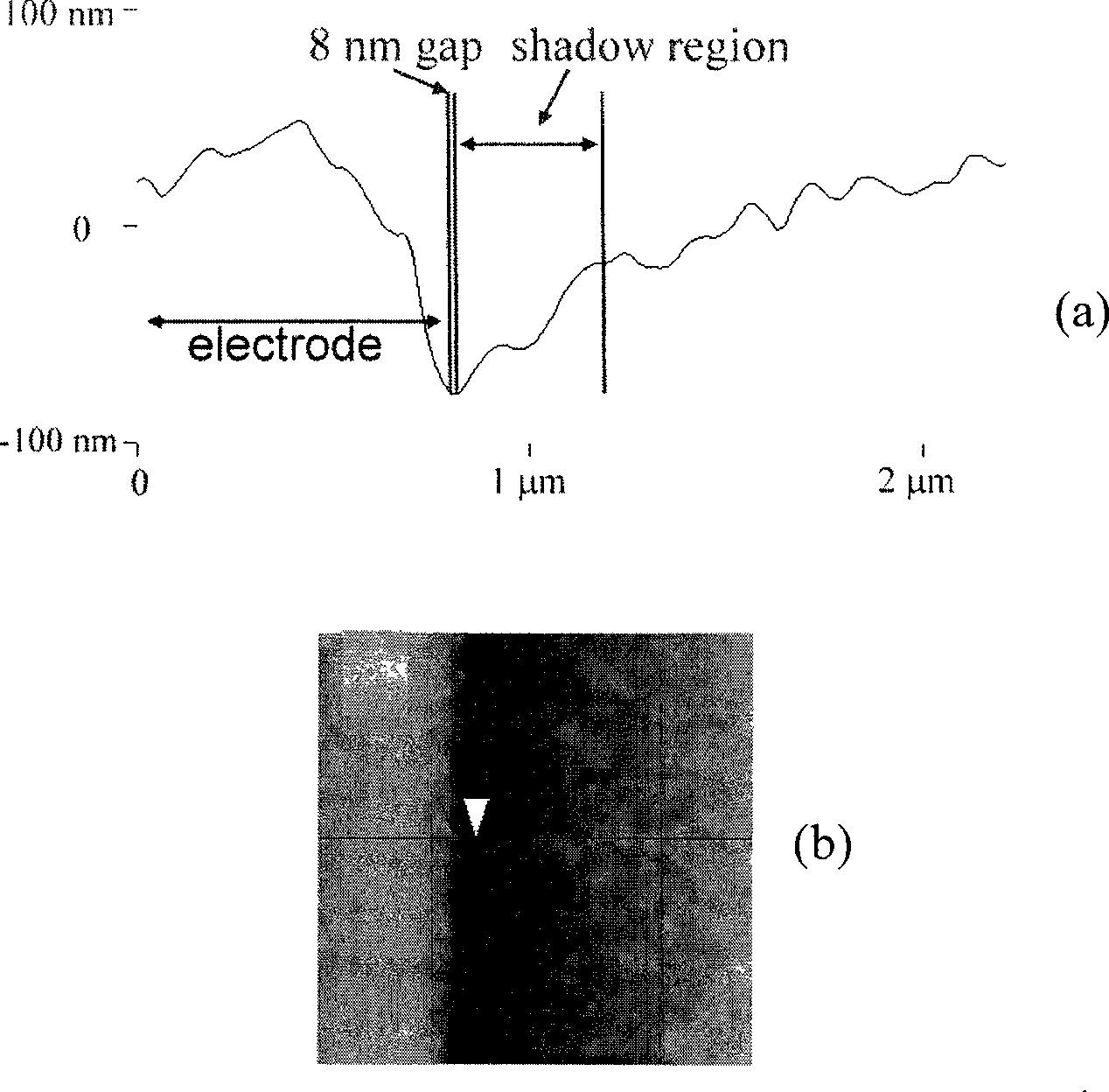 Organic light-emitting field effect transistor