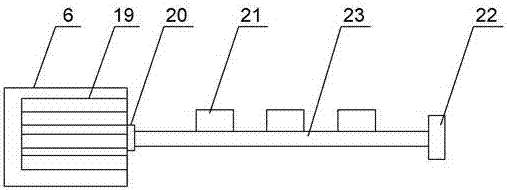 Impurity removing and screening device for camellia seeds