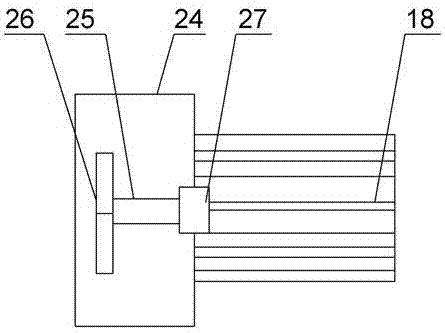 Impurity removing and screening device for camellia seeds