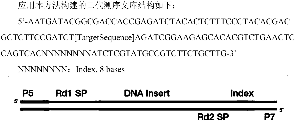 Primer set, kit, library and application for multi-gene combined detection of gynecological tumors