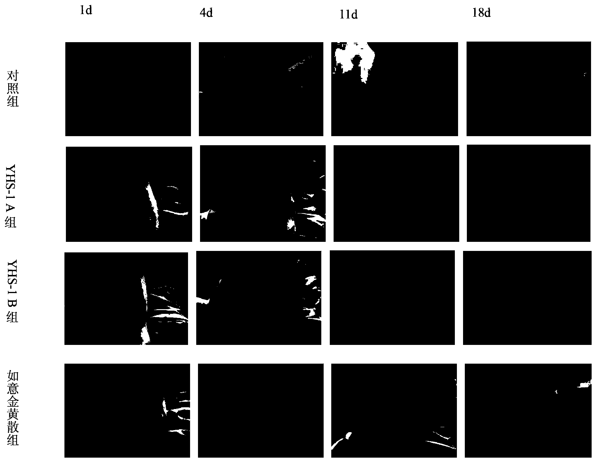 Traditional Chinese medicine composition for preventing and treating chemotherapeutic extravasation injury and preparation method and application thereof