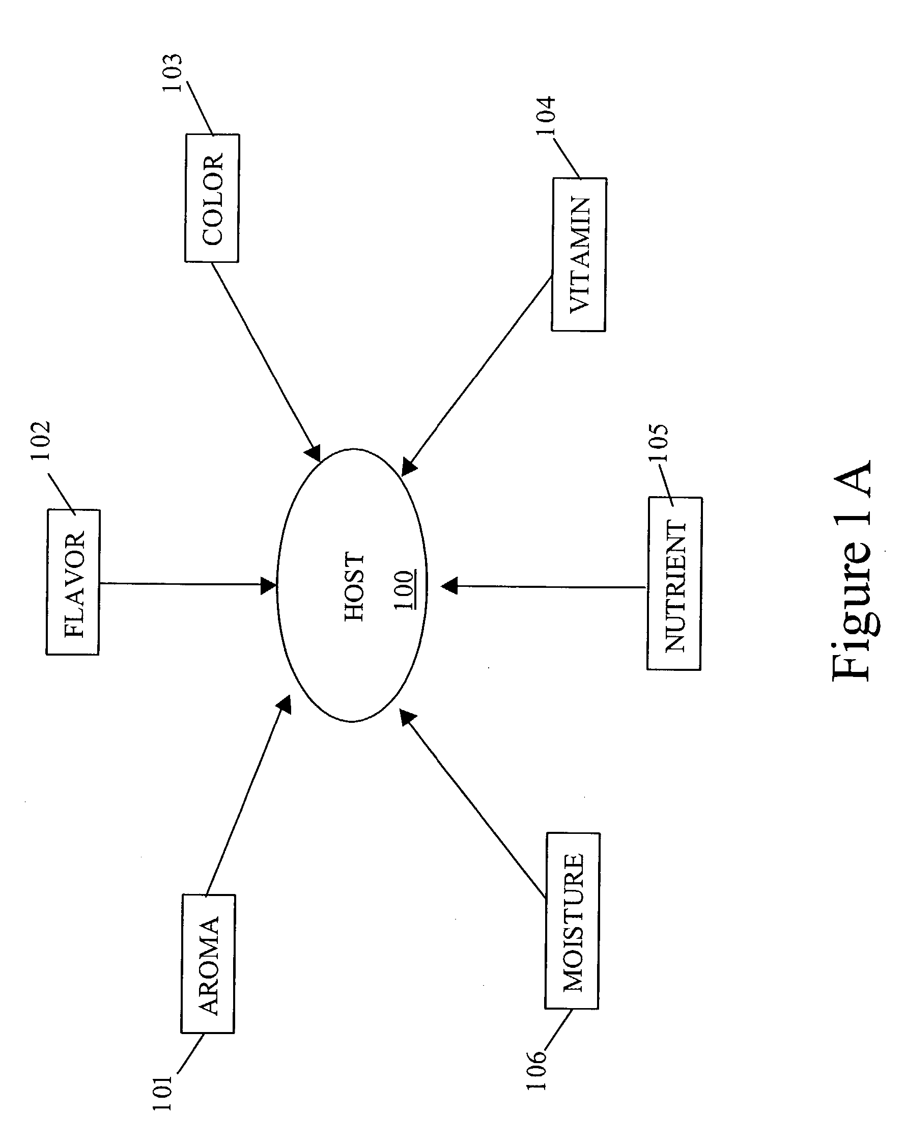 Additive product, a method of altering a characteristic of an unprocessed host food product, and a method of increasing a market value of an unprocessed host food product