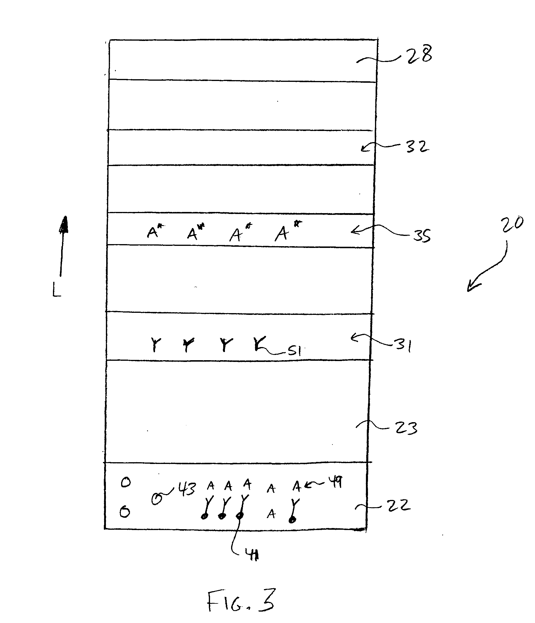Assay devices having detection capabilities within the hook effect region