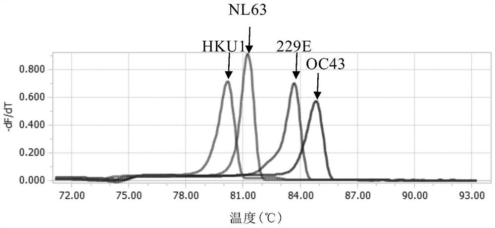 A real-time fluorescent multiplex RT-PCR method for simultaneous detection of human coronavirus 229e, oc43, nl63 and hku1