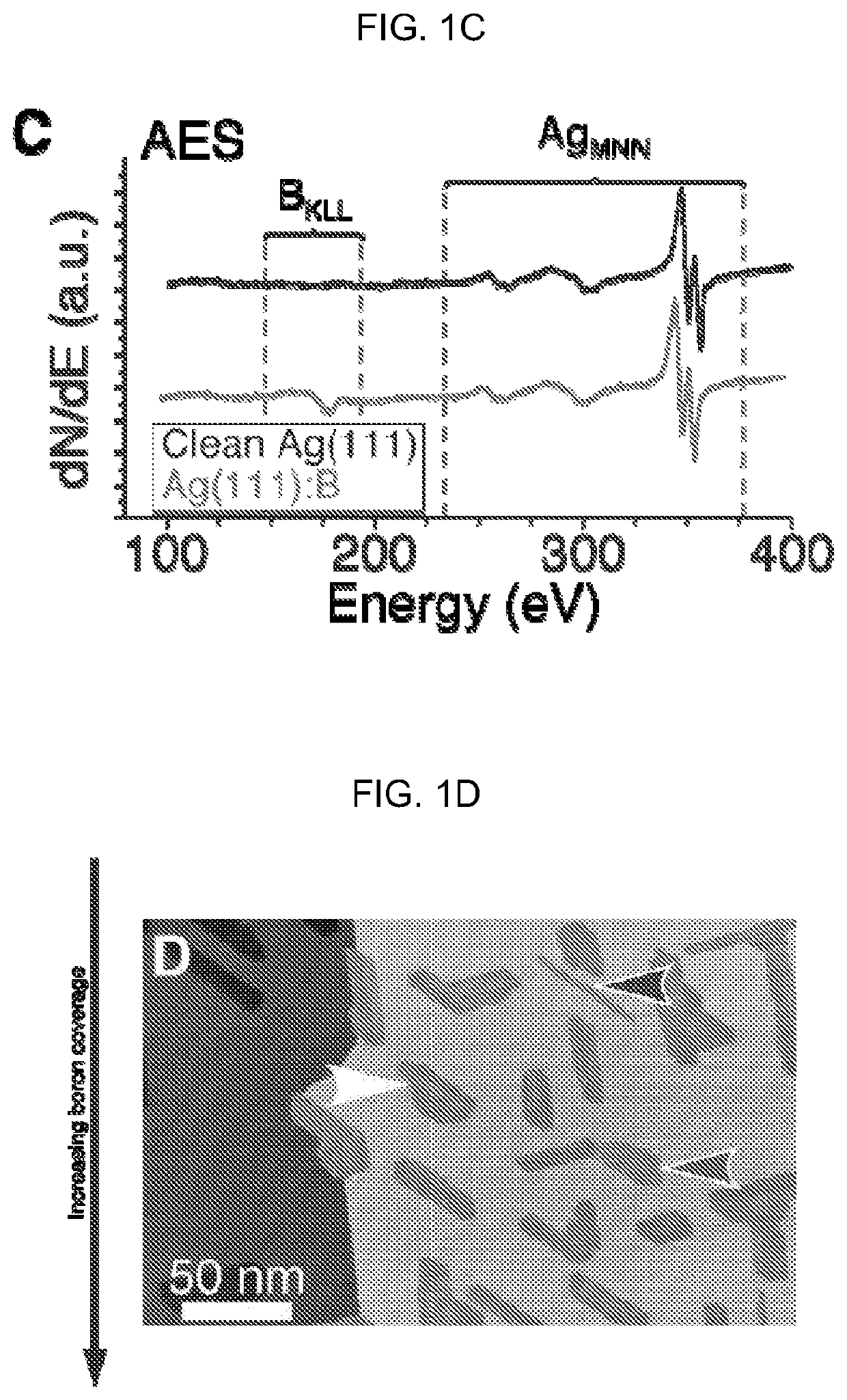 Borophenes, boron layer allotropes and methods of preparation